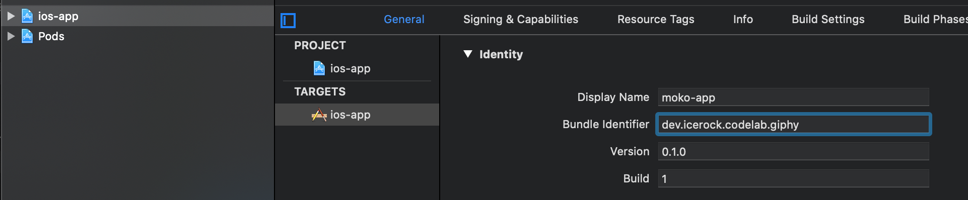 Xcode bundle identifier