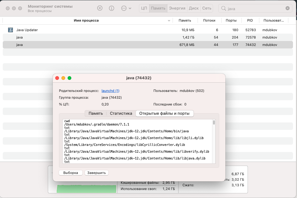 xcode pods build phases